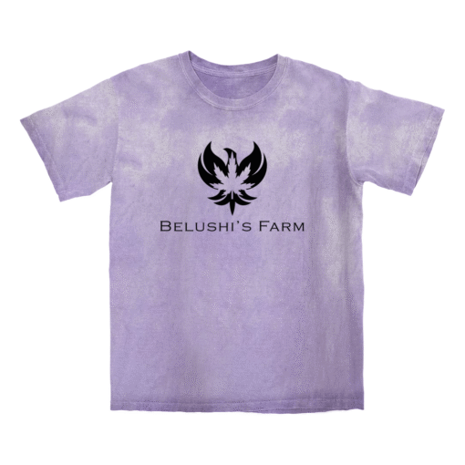 Phoenix Colorblast - Tees