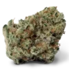 Black Ice