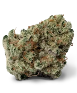 Black Ice