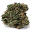 Blue Dream