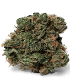 Blue Dream