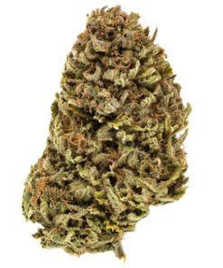 Cherry Pie Strain