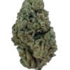 Kush Mintz