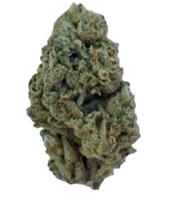 Kush Mintz