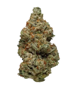 Sage Strain