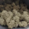 Scooby Snacks Strain