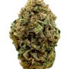 The Judge Strain