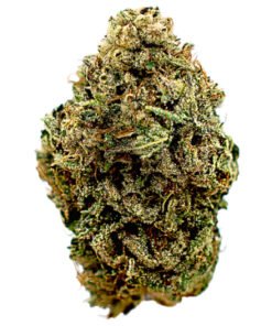 The Judge Strain