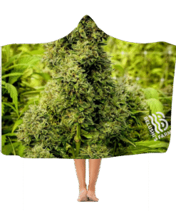 Organics - Premium Hooded Blanket