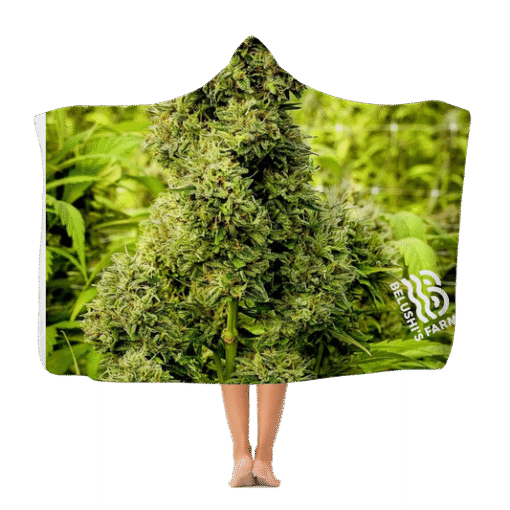 Organics - Premium Hooded Blanket