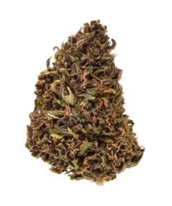 Captain Jack Weed Strain