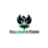 BF Holographic Stickers
