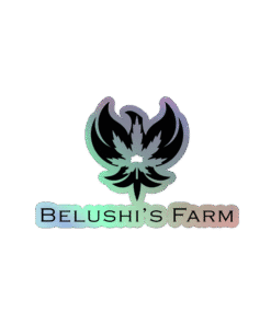 BF Holographic Stickers