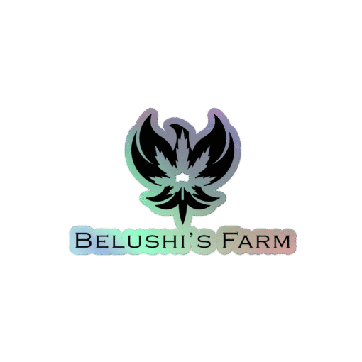 BF Holographic Stickers
