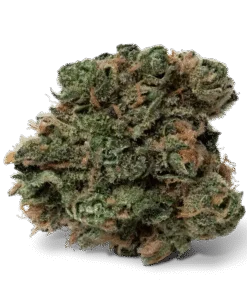 Blue Dream