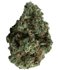 Dreadbread