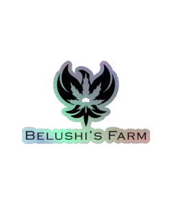 BF Holographic Stickers